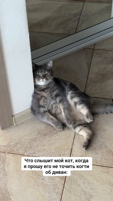 И так каждый раз