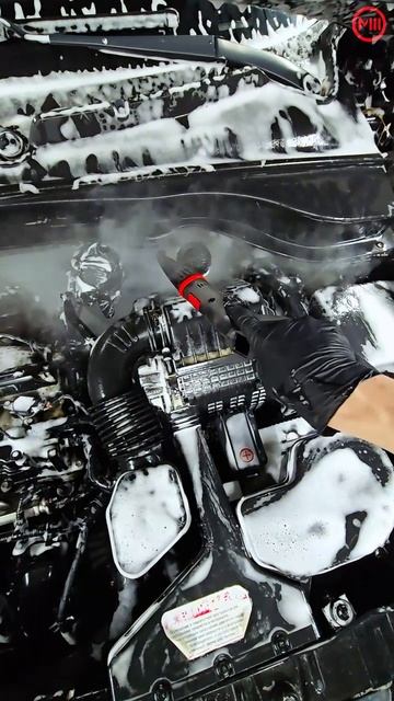 Мойка М3. Мойка двигателя паром