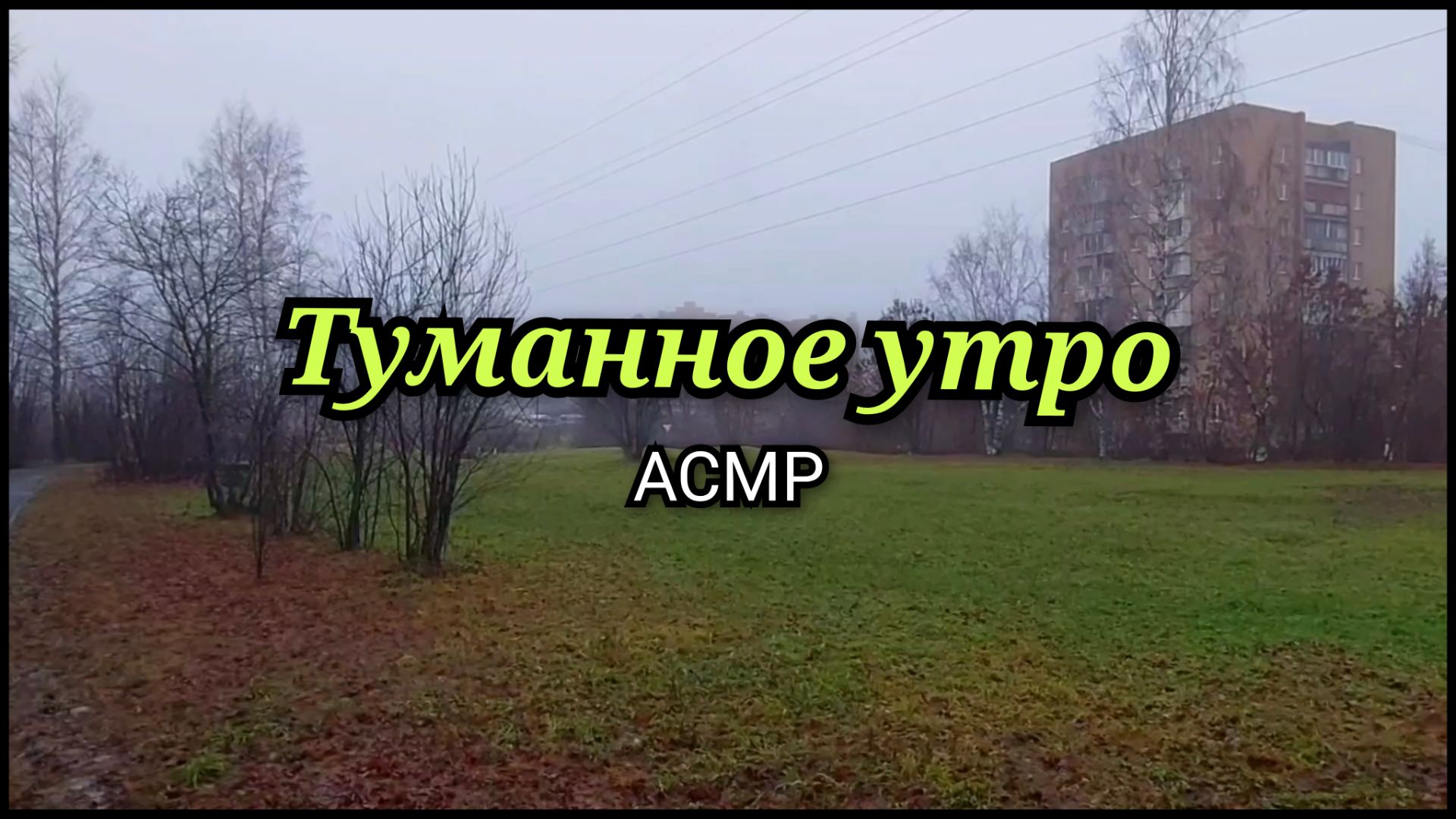 Туманное Утро: Звуки Города (АСМР)