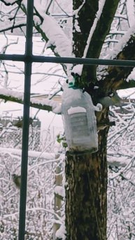 Покормите птиц.