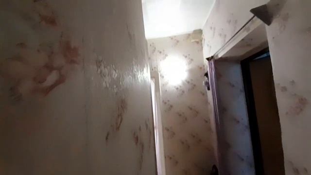 video5276106592851363580