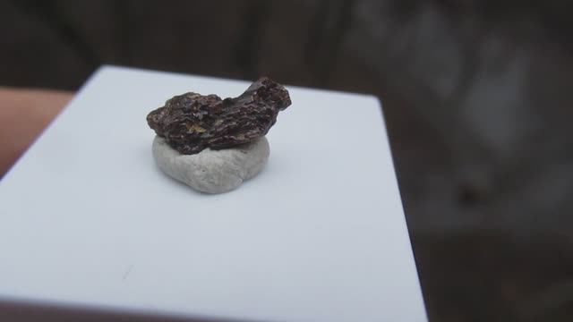 Пейнит купить