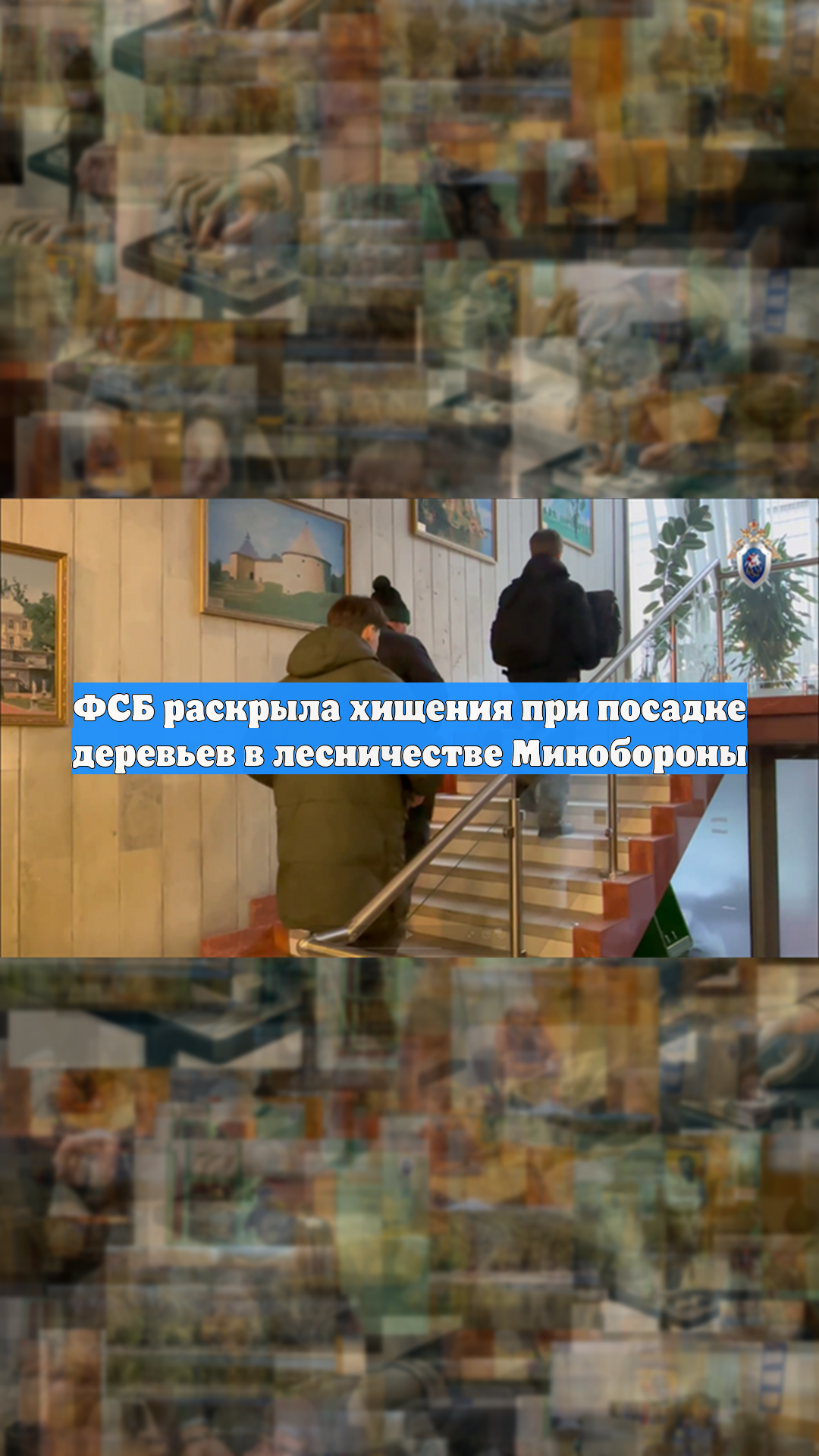 ФСБ раскрыла хищения при посадке деревьев в лесничестве Минобороны