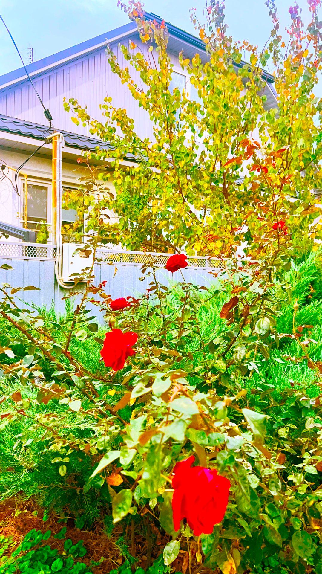 Уютный домик в 1,5 часах от Черного моря