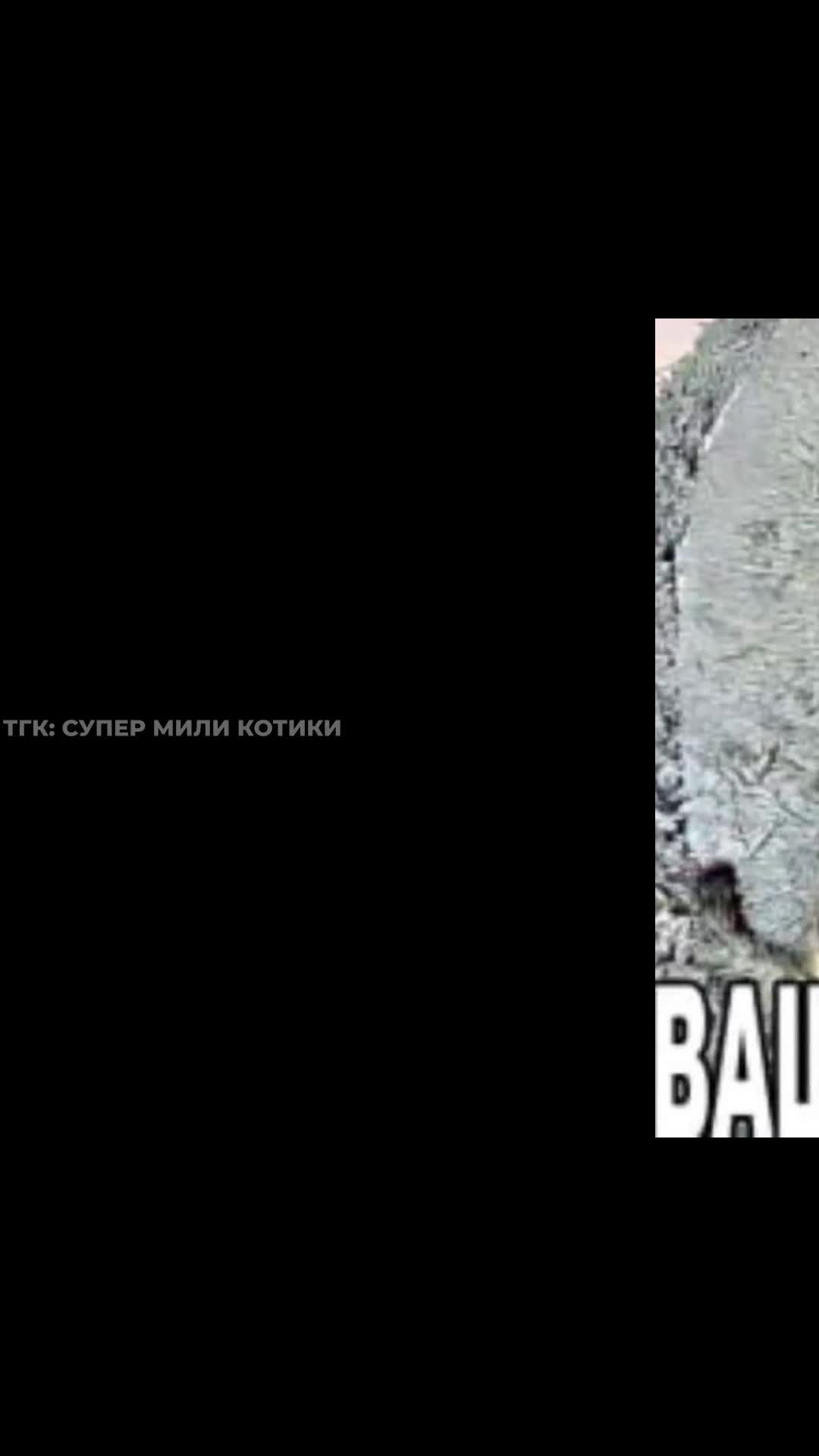 supermilikotiki_123.mp4