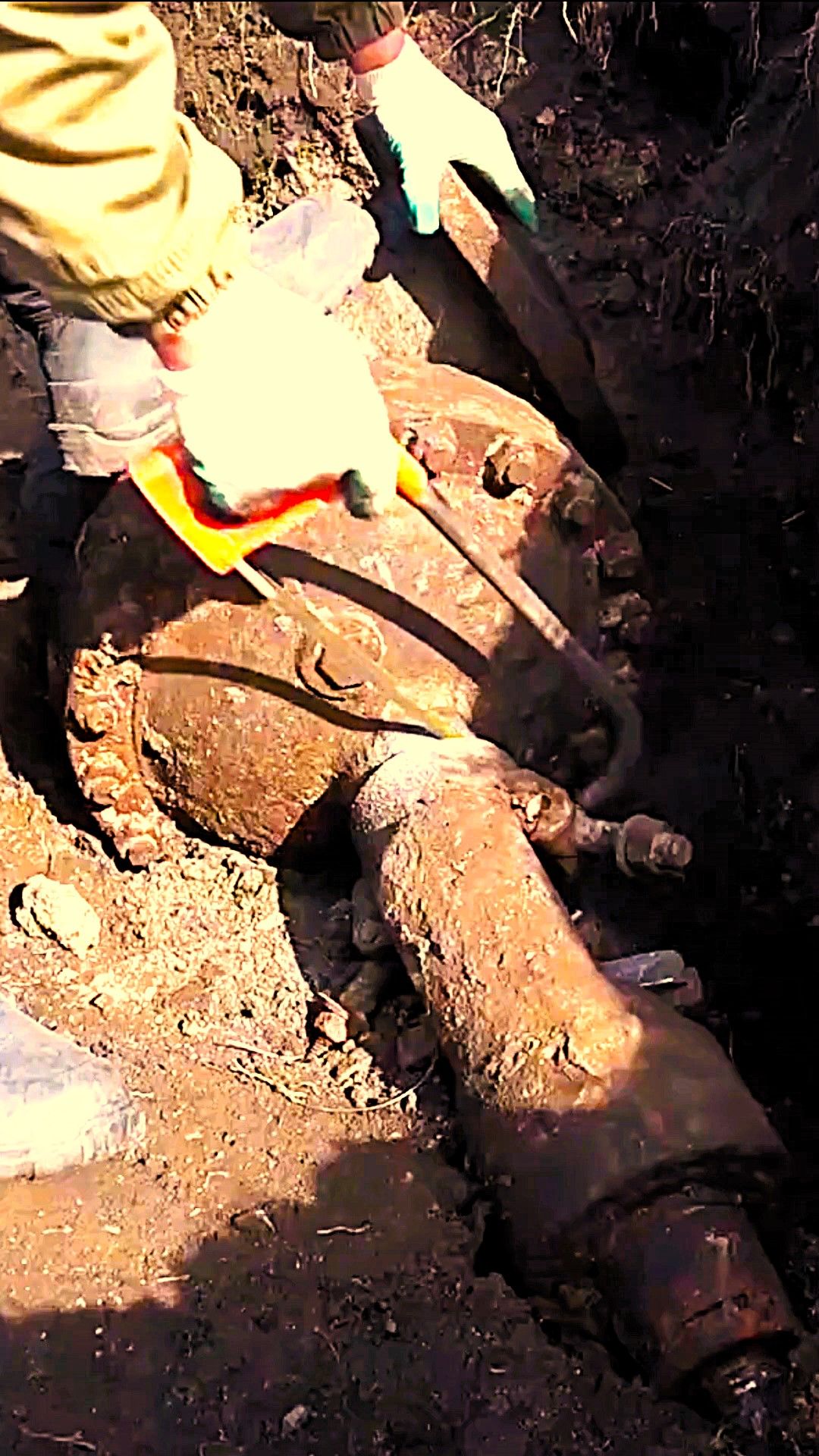 Все местные сбежались посмотреть что я нашёл в овраге.