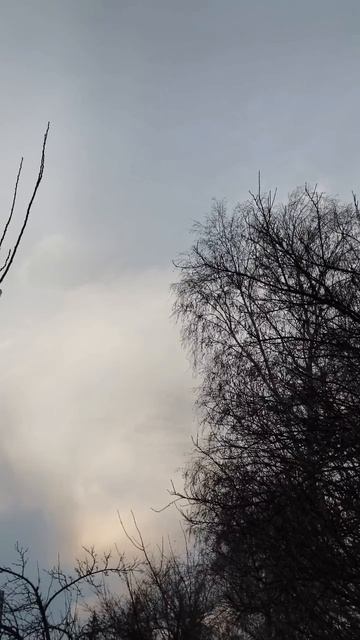 26.11.2025 #сегоднятак #природа #прырода #табиғ #自然 #natureza #natura #자연 #طبيعة #प्रकृति #nature