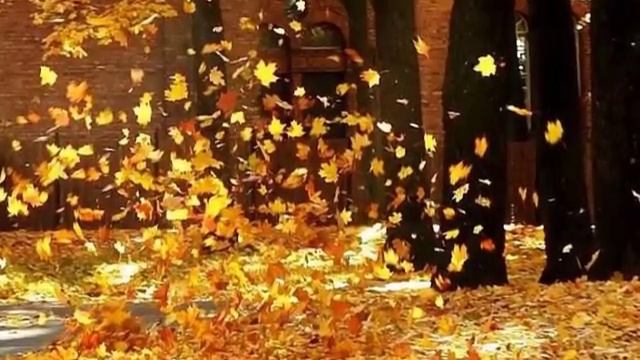 Размышления ранней осенью (Стихи М. Сипера)