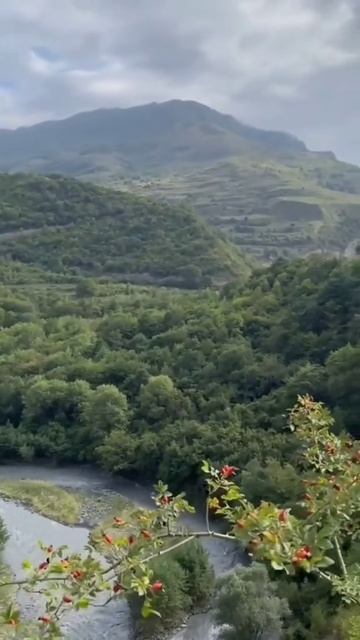 Красота дидоэтия