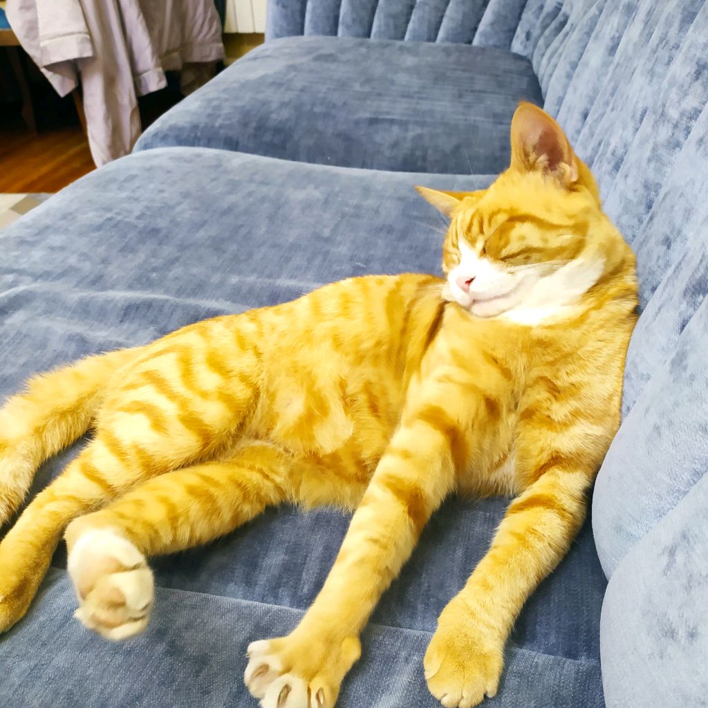 для тех кому нечего делать