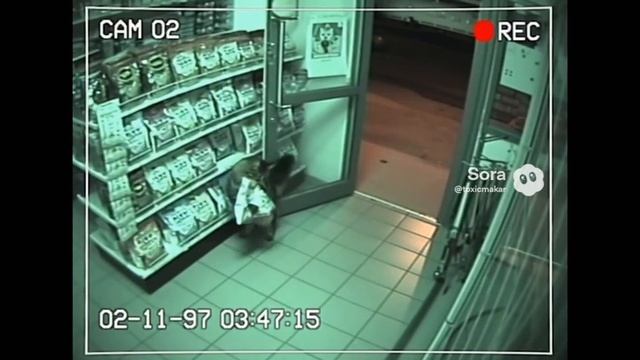 Тарюшка крадут вкусняшки  #кот#мейнкун#кошка#животные#смех#cat#maincoon