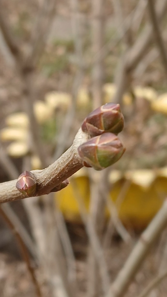 Аномальная погода в ноябре, на улице весна реально 👍💯#погода