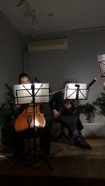 Чеховка. Концерт во тьме, но не кромешной. Скрипка, альт, виолончель и фагот все разом. Фрагмент 17