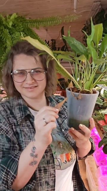 Нет, нет, мы не такие... Или такие?)