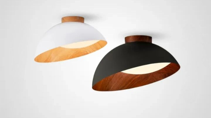 Потолочный светильник EDVIN