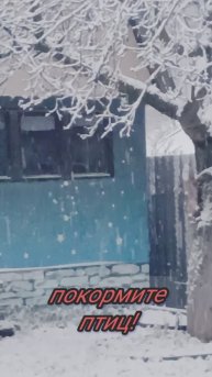 Покормите птиц.