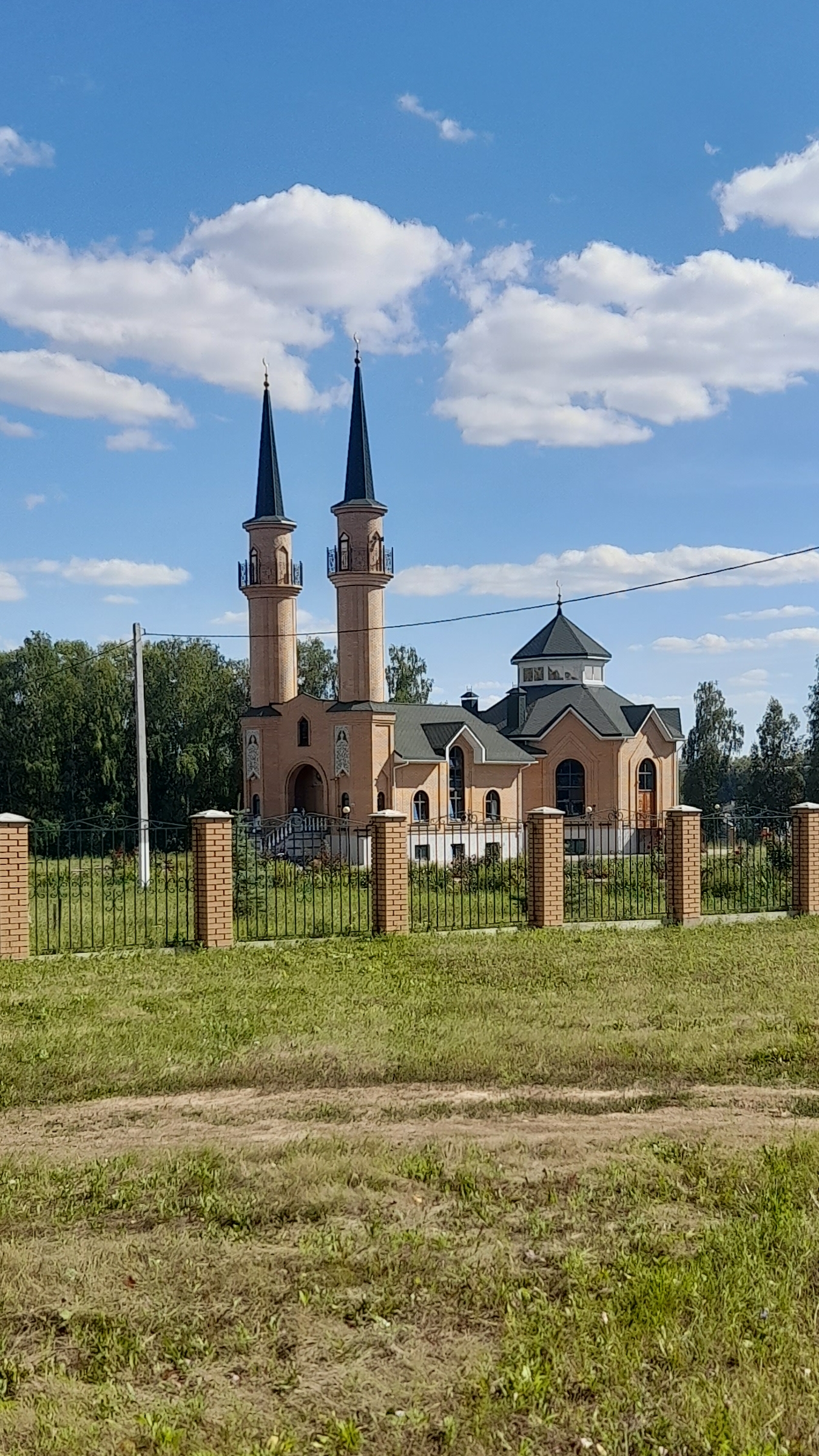 Чудесные розы рядом с мечетью