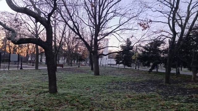 Доброе утро, жители и гости Генического муниципального округа!