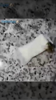 Головокружительная карусель🐝😄