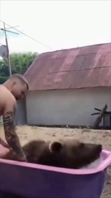 Неожиданный душ: Мужчина держит медведя в тазу