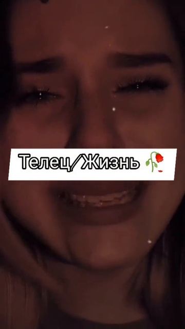 Добьем 500 подписчиков?❤️😌#любовь#знакизодиака#ненависть#знак#злость#боль