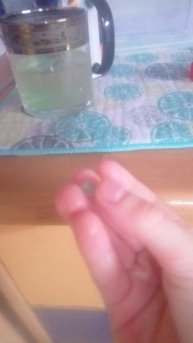 VID_20251126_145314.3gp