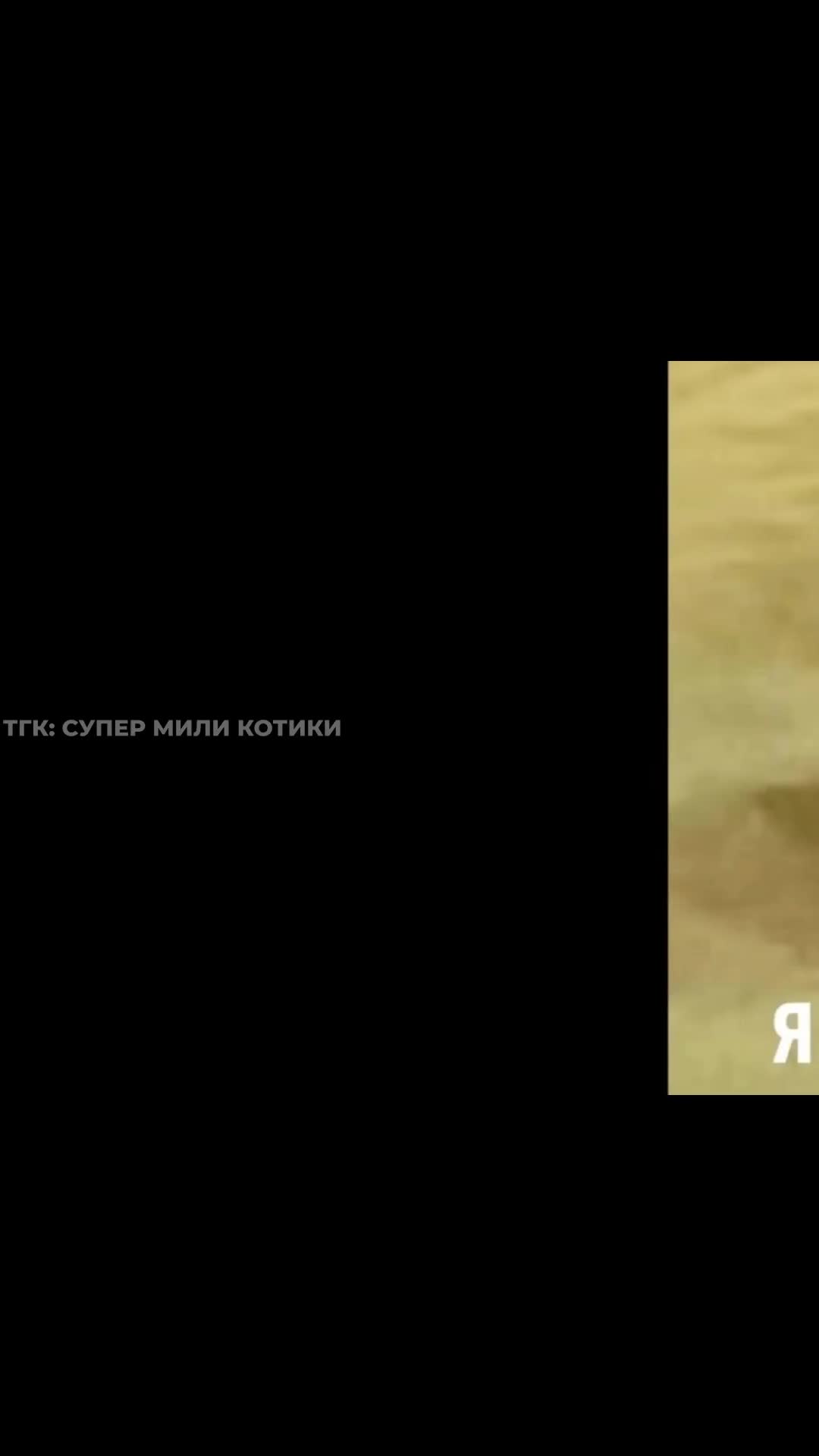 supermilikotiki_125.mp4