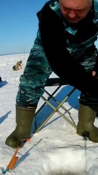 Поклёвка наваги