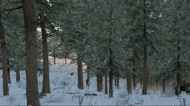 НАД РУСЬЮ АНГЕЛ БЕЗДНЫ И НА ЗЕМЛЕ ТОСКА -автор Андрей Немков, исполнитель ИИ