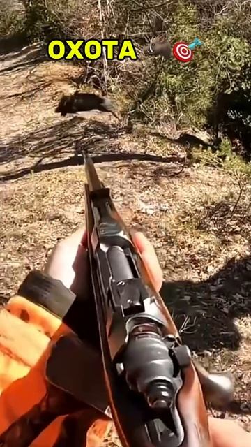 Охота на Кабана 🐗🎯