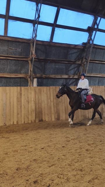 Даша и Флейта, галоп по стенке в манеже.