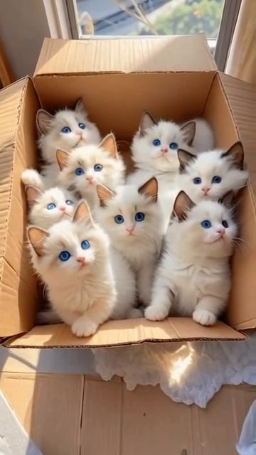 Ничего красивее вы сегодня уже не увидите ❤️😍😻