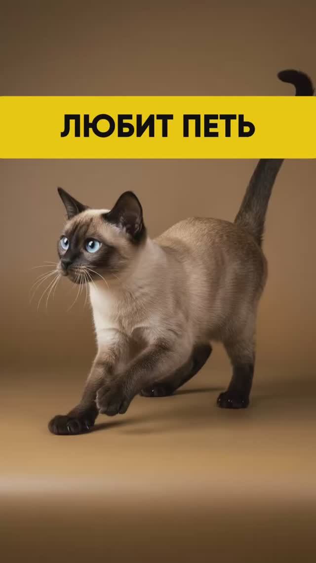 Она забавная 😁