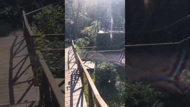 Ретрит центр в лесу- очередное место Силы!