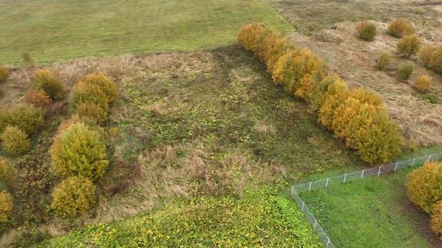 Ярополец 3923