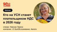 Кто на УСН станет плательщиком НДС в 2026 году - 1С:БухОбслуживание. Авлата, г. Санкт-Петербург
