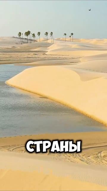 Подпишись, чтобы не пропустить новое видео