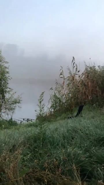 Клип @zatropheem