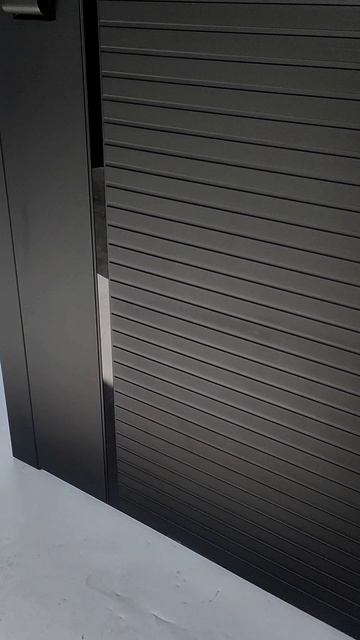 Входная дверь Black Line