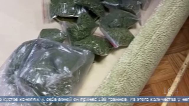 25.11.2025 Невельчанин самостоятельно изготовил гашишное масло и попался полиции