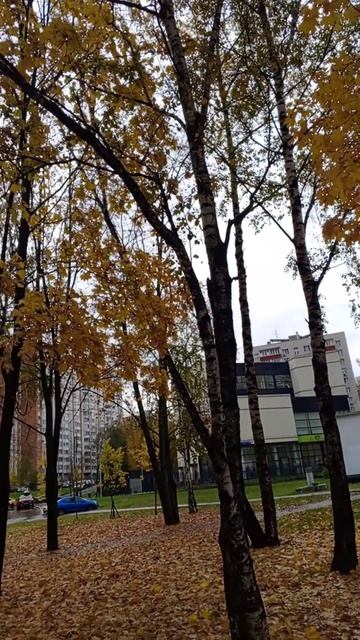 Варвара Фёдоровна💖