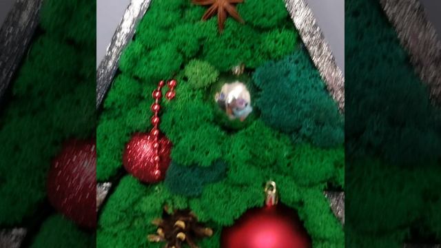 Ёлка из стабилизированного мха.