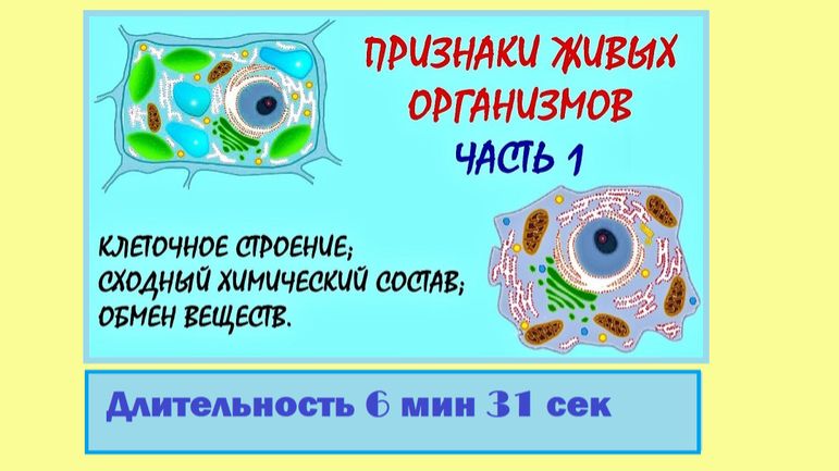 Биологические системы и их организация