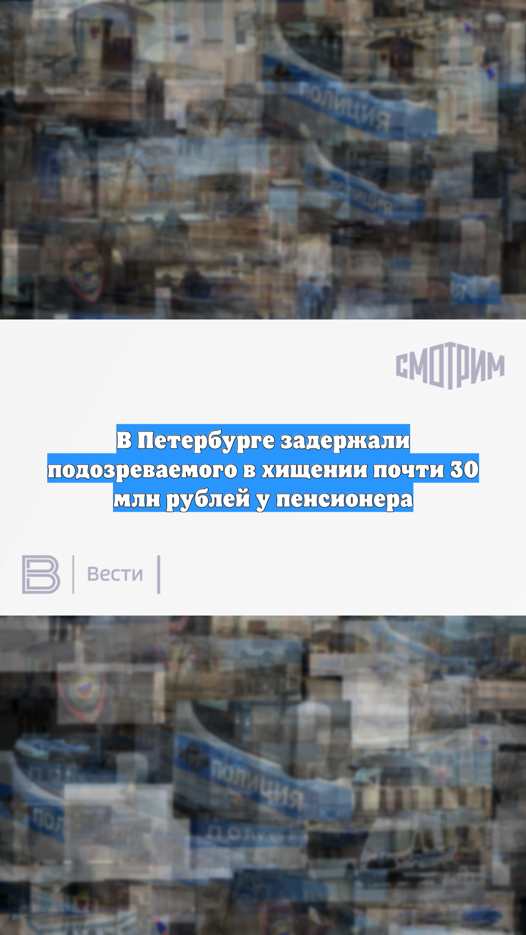 В Петербурге задержали подозреваемого в хищении почти 30 млн рублей у пенсионера