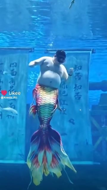 Мужчина Русалка в большом аквариуме😆🤣#аквариум #Мужчина #Русалка #смешно #смех #смешное #смешные