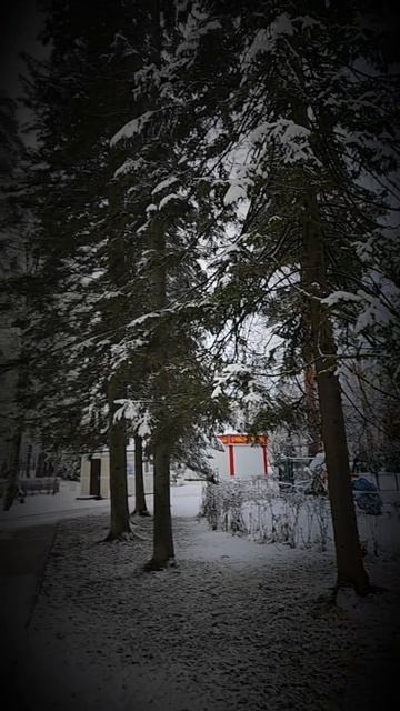 ЗЕЛЕНОГОРСК