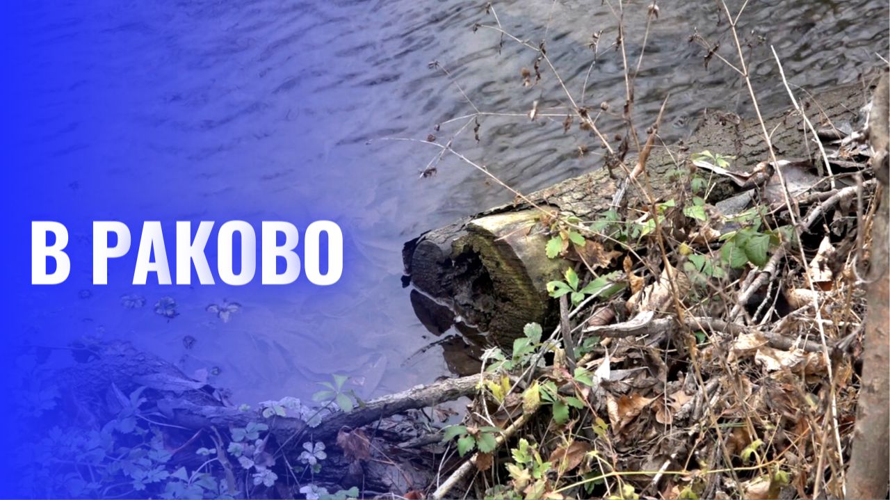 Природа грусти