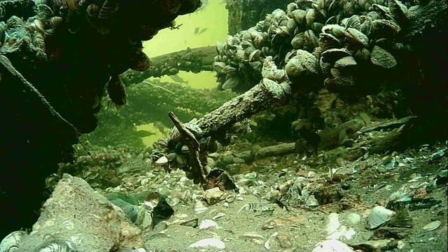 1000005526.mp4Волга гл.2м.26.11.2025г.