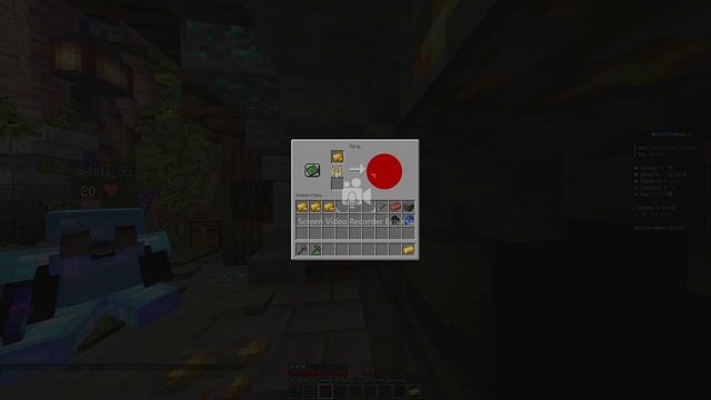 майнкрафт играю на сервере