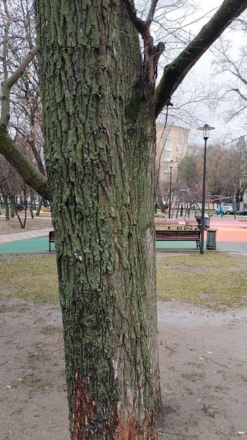 Удача 26 ноября